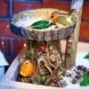 Vivid Arts Tree Trunk With Robins Bird Feeder 1 Vivid Arts Tree Trunk With Robins Bird Feeder -PlantEra Shop 932291