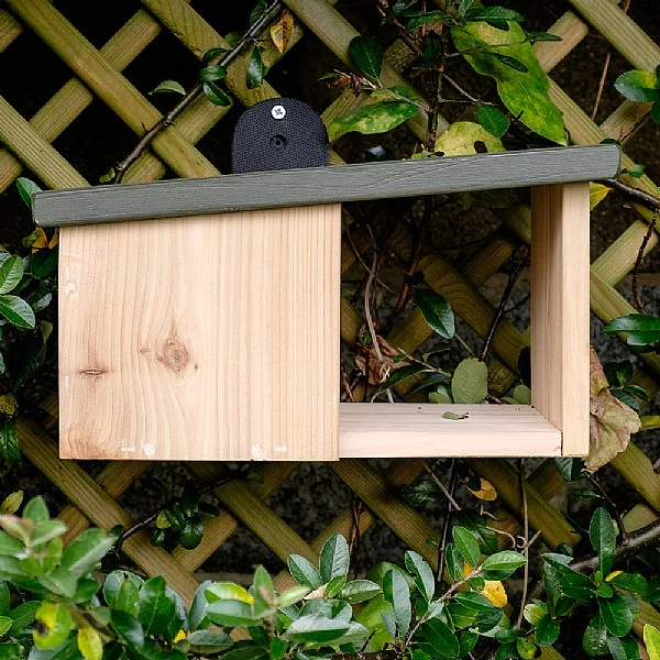 Wildlife World Wooden Robin Nest Box 3 Wildlife World Wooden Robin Nest Box