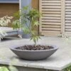 Stewart Garden Varese Low Bowl Planter 60cm - Dark Brown 1 Stewart Garden Varese Low Bowl Planter 60cm - Dark Brown -PlantEra Shop 975845