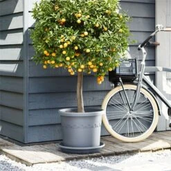Elho Algarve Cilindro Planter With Wheels 40cm