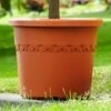 Elho Algarve Cilindro Planter With Wheels 48cm