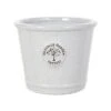 Woodlodge Edwardian White Crackle Glaze Planter -PlantEra Shop EDWHTCRAC