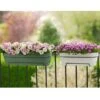 Elho Vibia Campana Trough 50cm (Various Colours) 1 Elho Vibia Campana Trough 50cm (Various Colours) -PlantEra Shop ELVIBSQ50