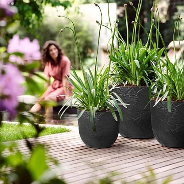 Elho Fuente 47cm Lily Round Planter (Various Colours) 3 Elho Fuente 47cm Lily Round Planter (Various Colours)