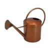 Ivyline Indoor Kensington Traditional Copper Watering Can -PlantEra Shop KENSCOPPWCAN