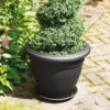 Stewart Garden Palladian Planter 50cm (Various Colours)