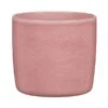 Scheurich Rosea Pot Cover (Various Sizes) -PlantEra Shop ROSEAPOT