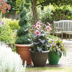 Stewarts Garden Palladian Planter 65cm (Various Colours)