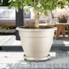 Elho Universal Planttaxi Planter 40cm (Various Colours) 1 Elho Universal Planttaxi Planter 40cm (Various Colours) -PlantEra Shop UPLATAXI40
