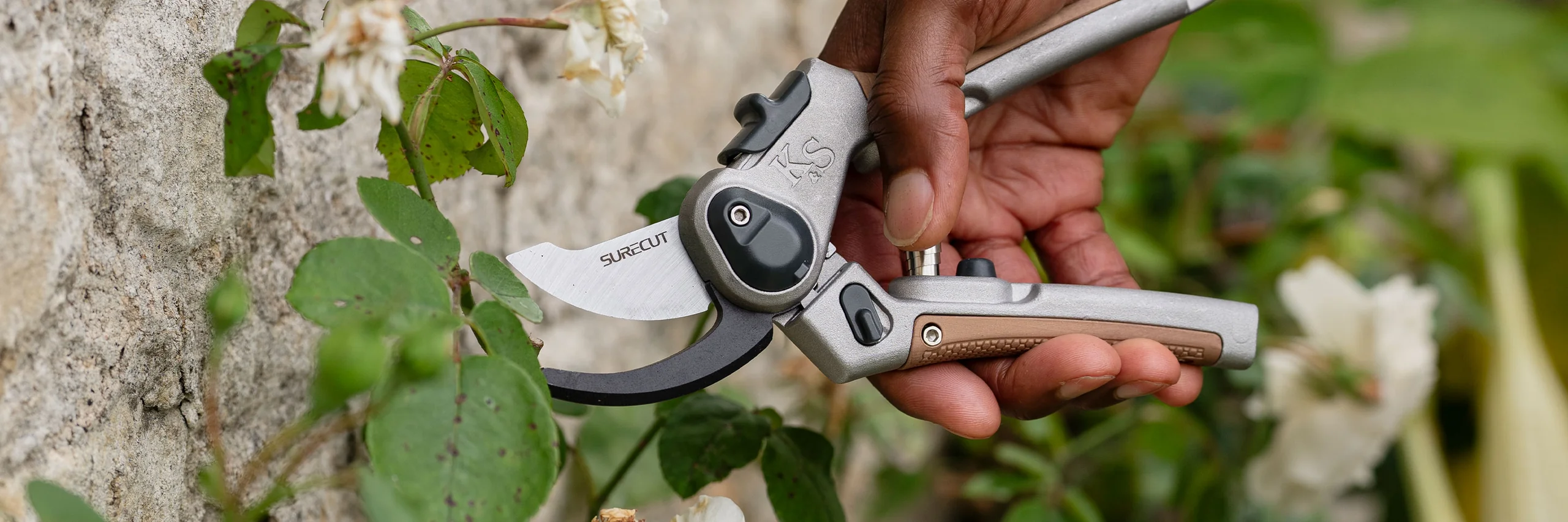 PlantEra Shop 2 PlantEra Shop -PlantEra Shop banner588